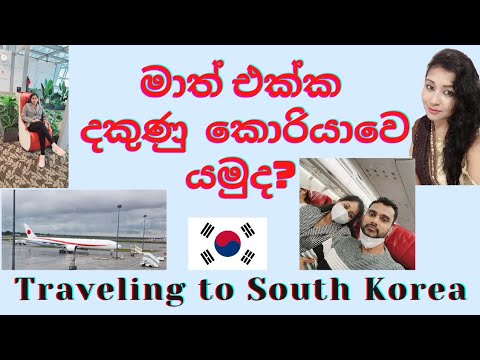 Traveling Vlog to South Korea From Malaysia | මම දකුණු කොරියාවට ආපු හැටි | South Korea Travel Vlog