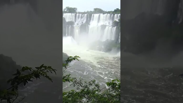 Iguazu National Park, Paseo inferior, Lado Argentino #shorts #iguazufalls   #argentina
