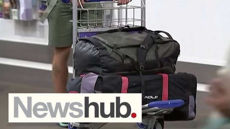 Airlines warn Auckland Airport's $3.9b upgrade plans could make airfares unaffordable | Newshub
