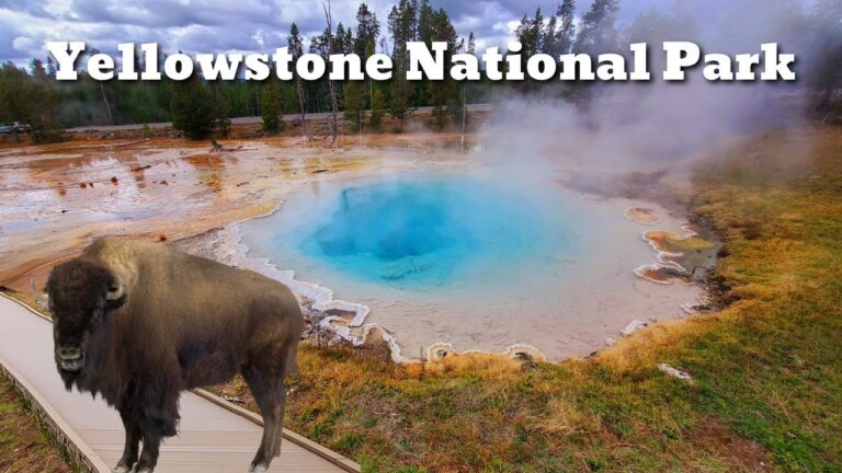 Yellowstone National Park : Easy Stops in West Yellowstone